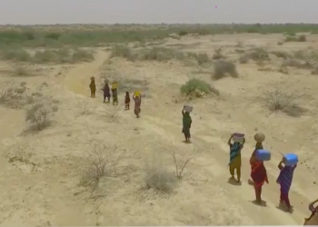 World Water Day 2018:Nature Based Solutions