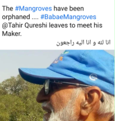 Remembering Baba e Mangroves Late Tahir Qureshi on #WMD22